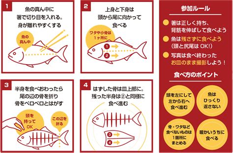 魚の骨選手権｜海の恵み 食の底力 Japan