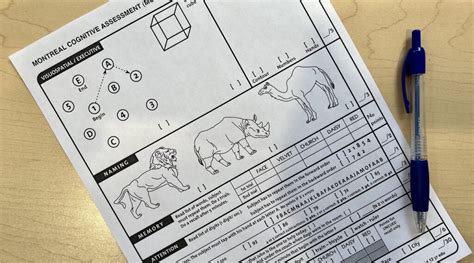 The Best Cognition Assessments For OT Under 10 Min OTFocus