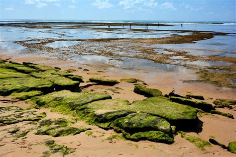 Praia do Forte, Brazil