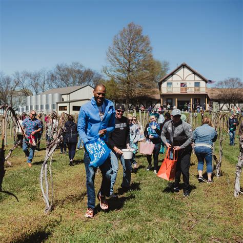 Adult Only Easter Egg Hunt Beachaven Vineyards And Winery Clarksville Tn