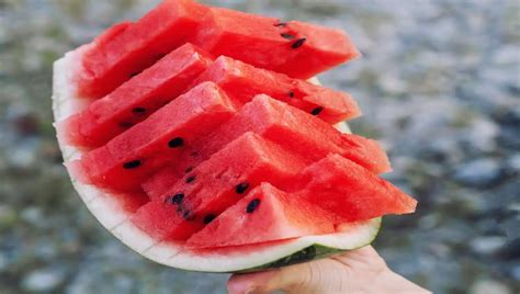 Semente De Melancia Pode Comer - Pode ou não pode? Entenda se é saudável comer a semente da melancia e ...