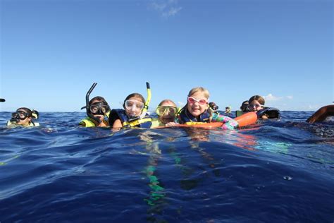 Oahu Nuoto Con I Delfini E Tour In Motoscafo Per Lo Snorkeling