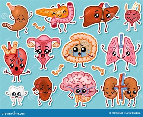 Cute Organs Happy Human Set Of Smiling Characters Vector Pins Cartoon Kawaii Icons Stock