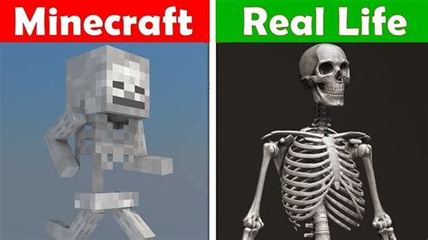 Minecraft Skeleton In Real Life Minecraft Vs Real Life Animation Challenge Youtube