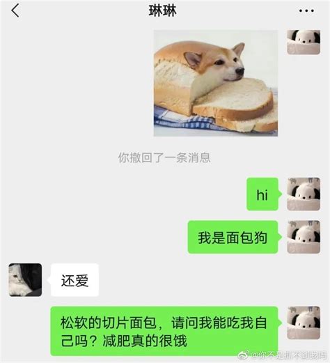 假如我是面包狗，你还会爱我吗？