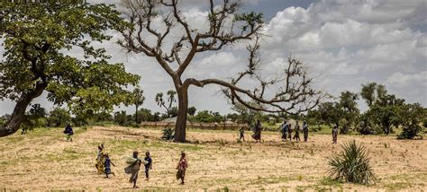 La Restauration Des Terres D Grad Es En Afrique Progresse Lentement Et