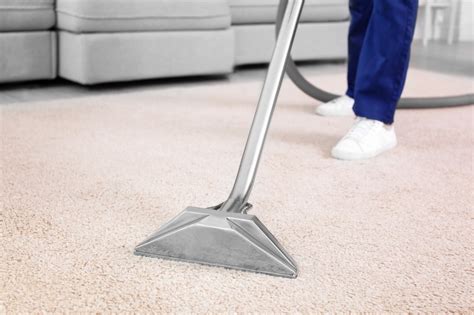 How To Use Steam Cleaner Carpet At Frances Jones Blog