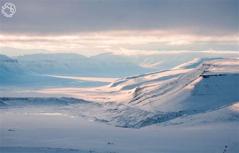 Qu Ver Y C Mo Viajar A Las Islas Svalbard Noruega Un Viaje Creativo