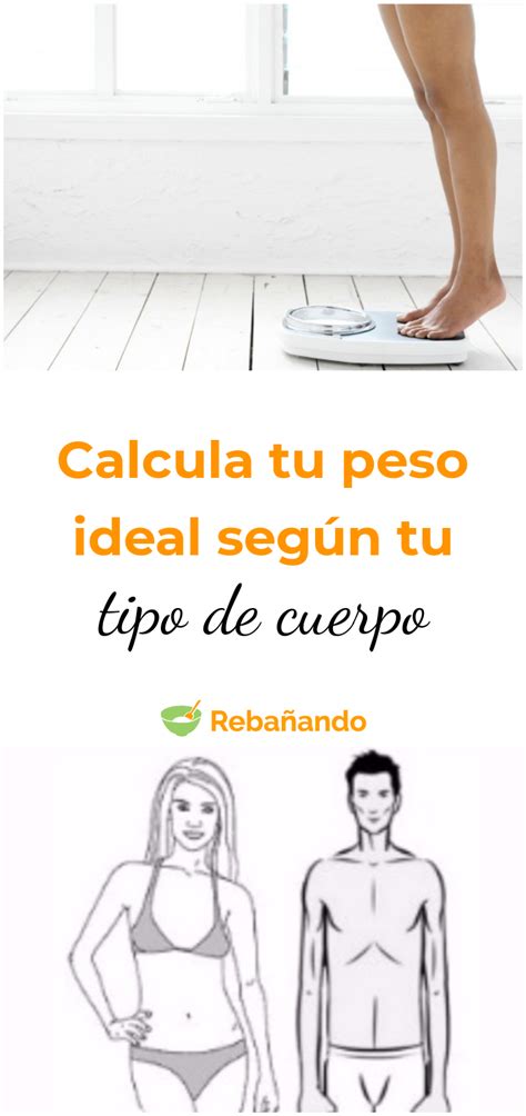 Calcula Tu Peso Ideal Seg N Tu Tipo De Cuerpo Peso Tipodecuerpo