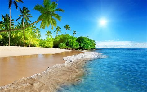 Hd Wallpaper Coconut Trees Beach Palm Trees Tropical Water Sky