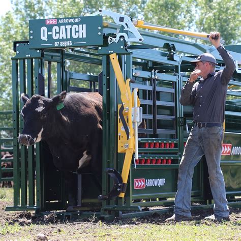 Q Catch Cattle Head Gate Cattle Head Catch Arrowquip