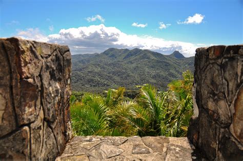 Hiking The Northern Slope Of El Yunque National Forest