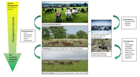 Schematic Representation Of How Different Types Of Land Managements