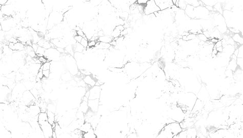 Gray and white marble texture 1427066 Vector Art at Vecteezy