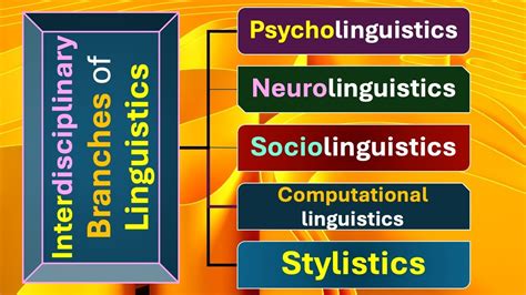 Interdisciplinary Branches Of Linguistics Psycho Neuro Socio And