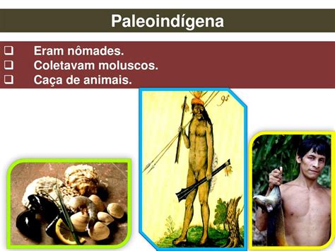 PPT Fases da Pré história da Amazônia PowerPoint Presentation free