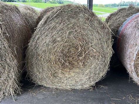 2 Round Bales 1st Timothy Alfalfa Mix 4x5 Stored Inside Rogers