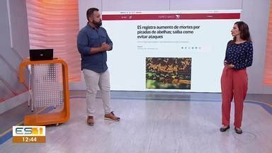 Gazeta Meio Dia Ataques E Mortes Por Abelhas Aumentam No ES Globoplay