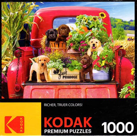 Kodak 1000 Piece Jigsaw Puzzle - Stowaways - Walmart.com - Walmart.com