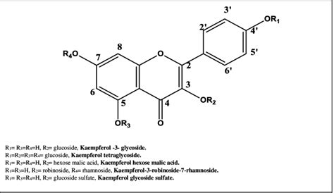 Chemical Structure Of Common Kaempferol Identified In Lens Legume