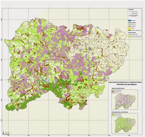 Educaci N Forestal Propiedad Forestal Castilla Y Le N Mapas Provinciales