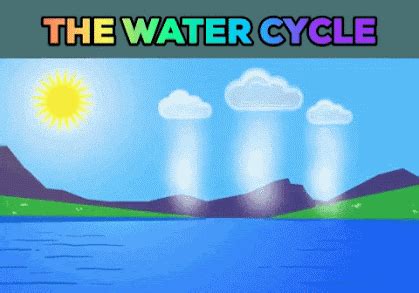 From PUA to eternity: THE HYDROSPHERE AND THE WATER CYCLE