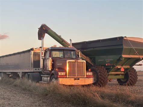 Illinois Harvest Rolls On Brownfield Ag News