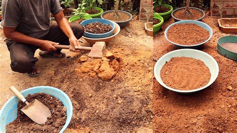 How To Make Potting Mix And Bonsai Soil Youtube