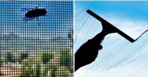 Solar Screens Vs. Window Tint (Which Is Better) – WattsClever