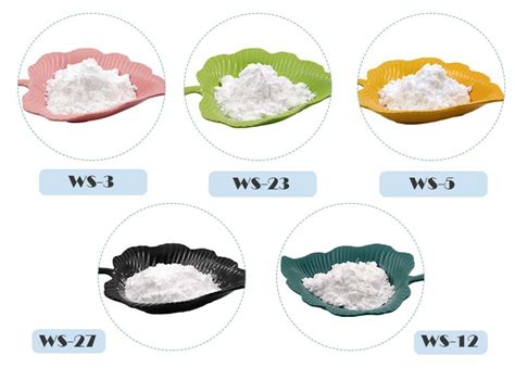 Popular Products Of Flavor Ws 27 Koolada Powdered Cooling Agent China