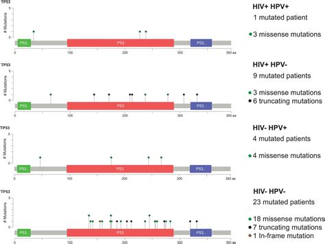 Distinct Pattern Of Tp53 Mutations In Human Immunodeficiency Virus