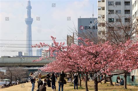 Japans Tallest Tower Tokyo Skytree Seen Editorial Stock Photo Stock