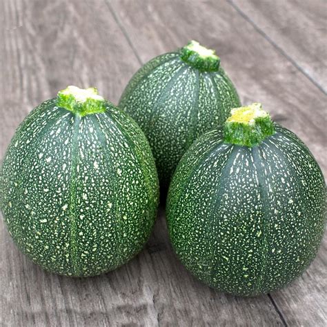 Round Zucchini Seeds Zucchini Seeds For Planting