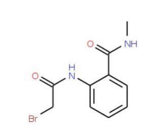 2 2 Bromoacetyl Amino N Methylbenzamide SCBT Santa Cruz