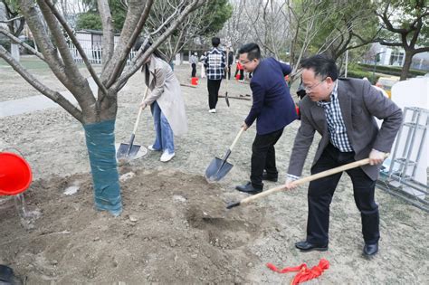 学校组织开展“我为亚运种棵树”活动 新闻网