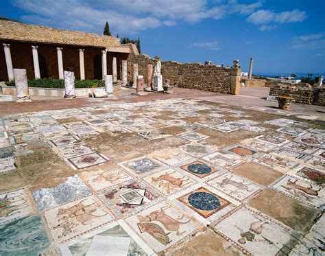 Exploring The Ancient Roman City Of Cartago