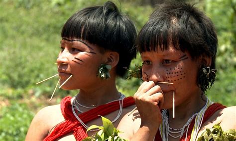 Governo vai reforçar medidas de proteção ao povo Yanomami Folha PE