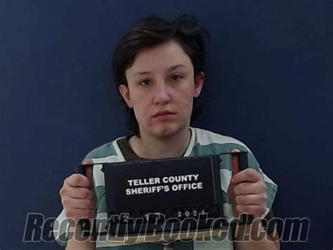 Recent Booking Mugshot For Hannah Alexandra Boten In Teller County