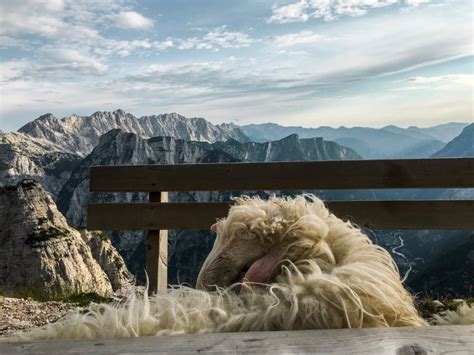 Triglav National Park Hut To Hut Hike Slovenia Moon And Honey Travel