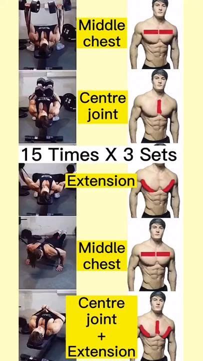 The Best Dumbbell Exercises Chest Edition Video In Dumbbell