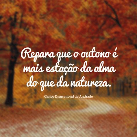 Frases De Outono Para Se Inspirar E Compartilhar