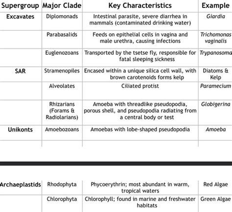 Exam Bio Flashcards Quizlet