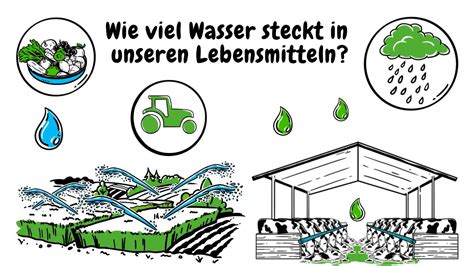 Wie Viel Wasser Steckt In Unseren Lebensmitteln Youtube