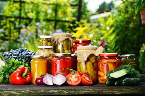 Best Vegetables And Berries To Grow For Canning Sunny Home Creations