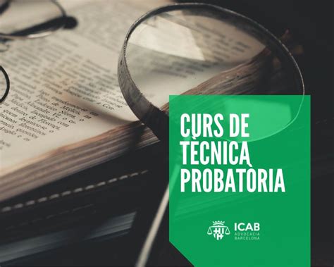 Curso De Técnica Probatoria 6ª Edición 2024