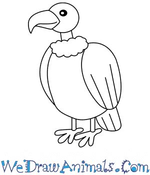 Vulture Drawing