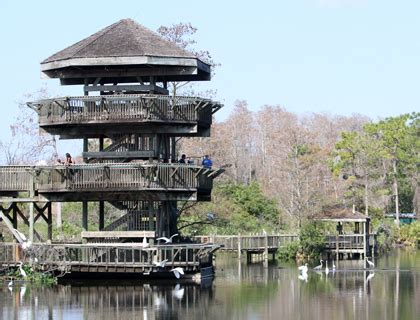 Gatorland Tickets - FloridaTix