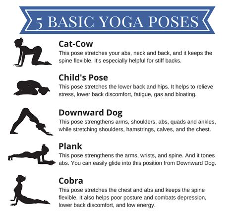 Yoga Poses For Beginners With Pictures | Yoga Poses