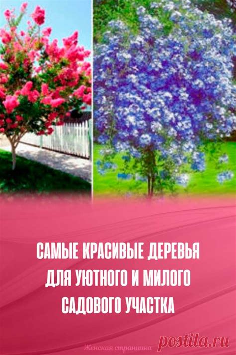 Самые красивые деревья для уютного и милого садового участка | Дача ...