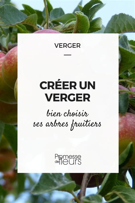 Créer un verger bien choisir ses arbres fruitiers Arbre fruitier